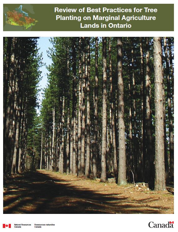 Review of Best Practices for Tree Planting on Marginal Agriculture